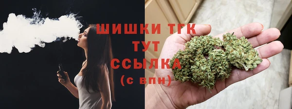 мет Дмитриев