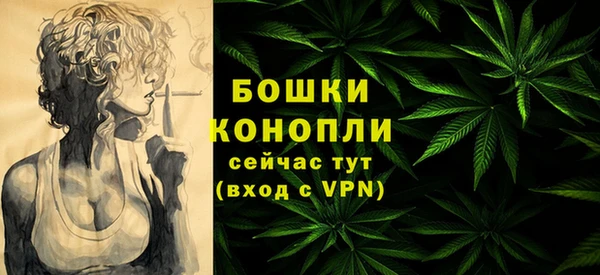 стафф Дмитровск