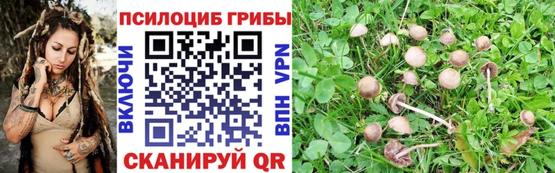 хочу наркоту  Курлово  Псилоцибиновые грибы ЛСД 