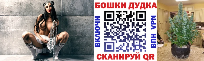 мориарти какой сайт  Курлово  Бошки марихуана сатива 